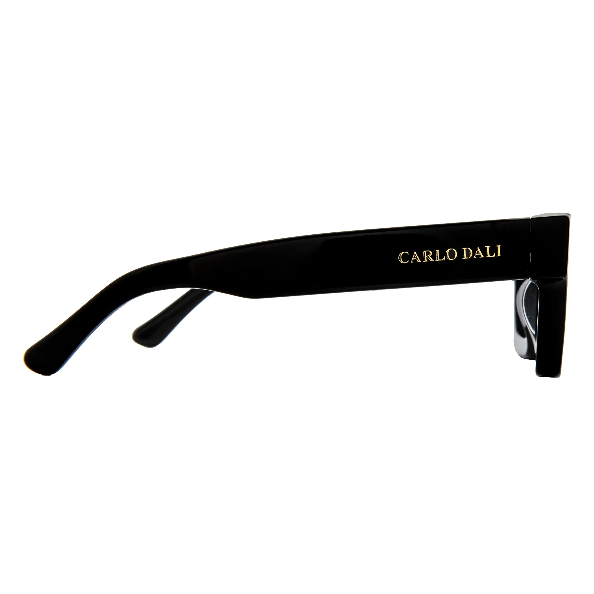 "ICONIC" CLASSIC SUNGLASSES