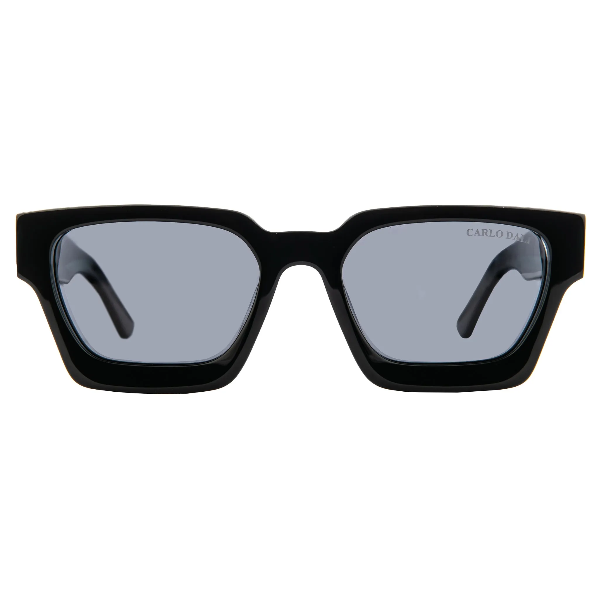 "ICONIC" CLASSIC SUNGLASSES